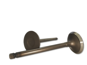 VALVULA DE ESCAPE MOTOR 4Y / 13715-76014-71